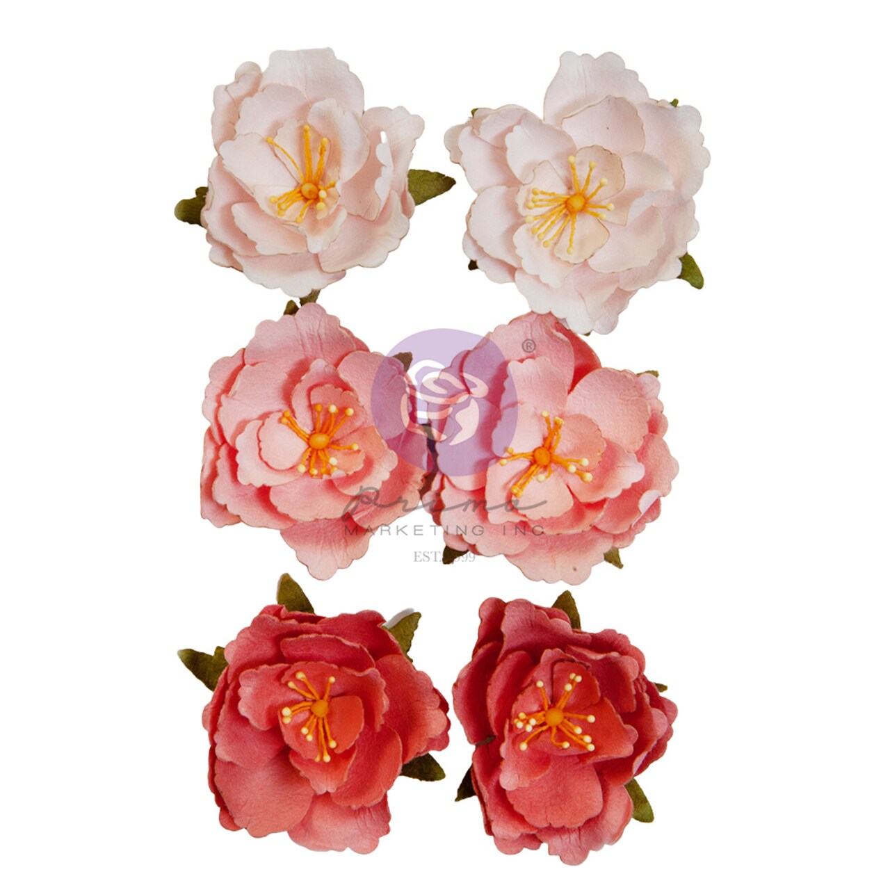 Prima Marketing The Plant Department Collection Flowers - Rooted - 6 pcs / mulberry paper for Scrapbooking, Journaling Supplies, Planners, Kid DIY Art Crafts, Bullet Journal